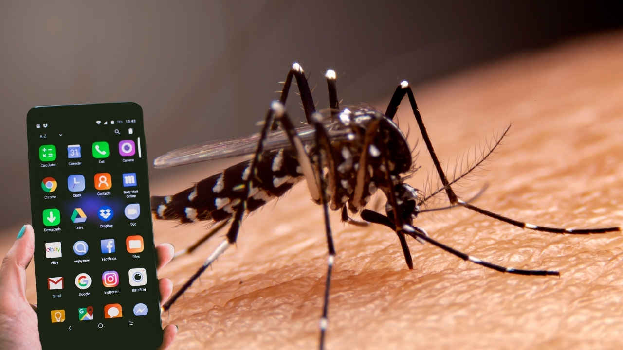 मच्छरों से परेशान? आपका स्मार्टफोन बन जाएगा हथियार, पास नहीं आएगा एक भी मच्छर! बिना खर्च फ्री में करें इस्तेमाल