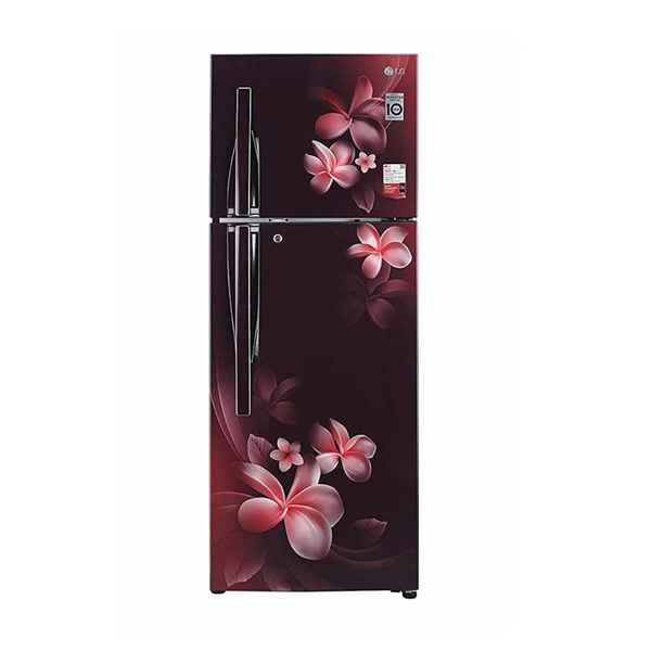 LG 284 L 3 Star Double Door Refrigerator (GL-T302RSPX)