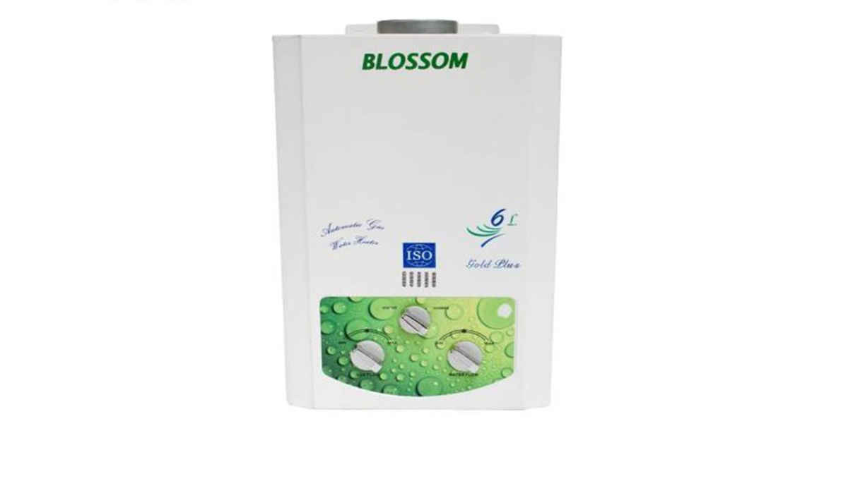 BLOSSOM 6 L Gas Water Geyser