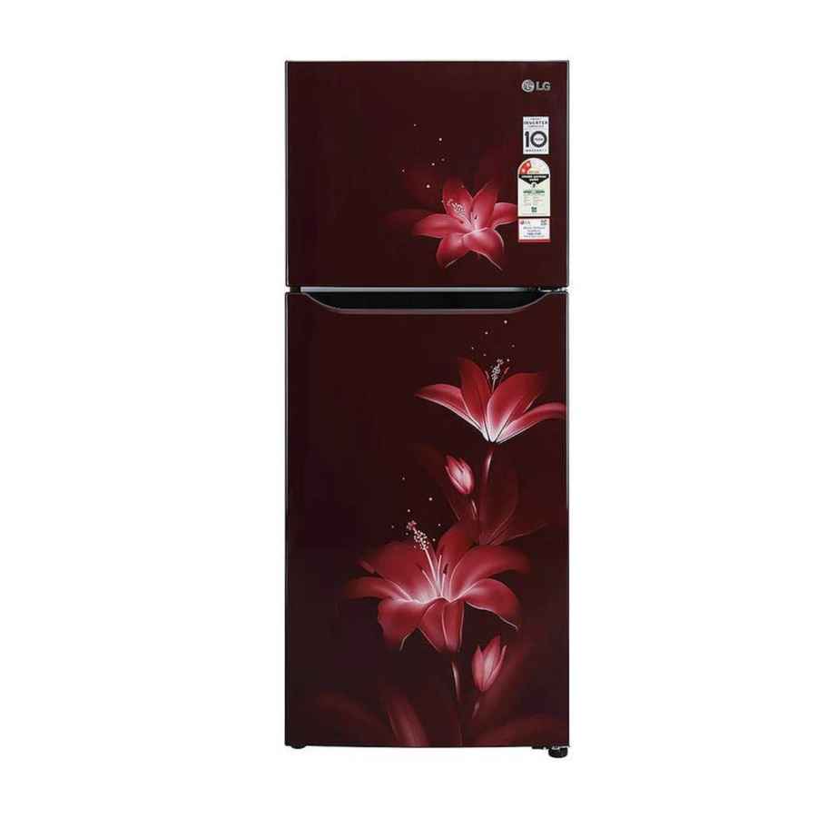 LG 260 L 2 Star Double Door Refrigerator (GLN292BRGY) एलजी 260 L 2 Star Double Door