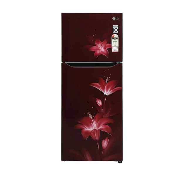 LG 260 L 2 Star Double Door Refrigerator (GL-N292BRGY)