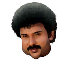 V. Ravichandran