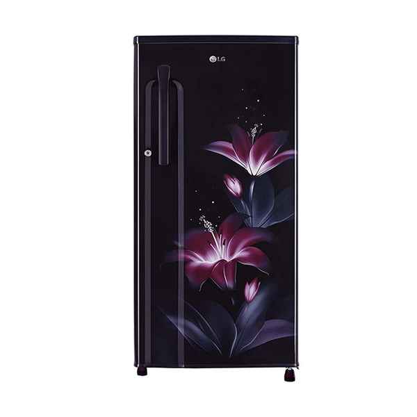 LG 188 L 1 Star Single Door Refrigerator (GL-B191KPGB)