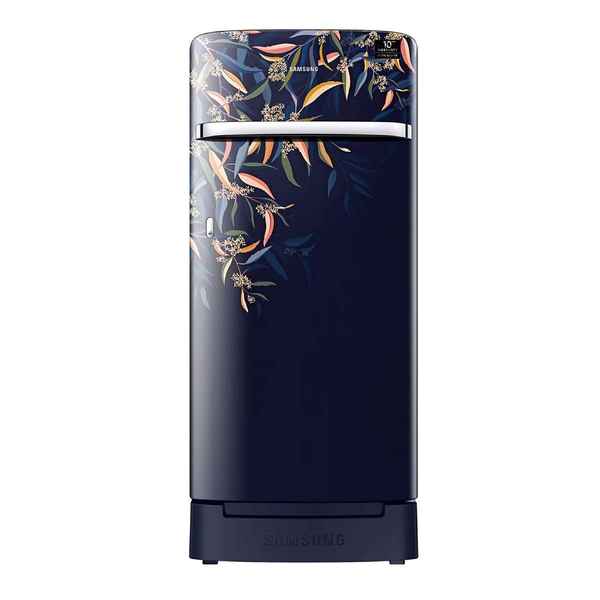 Samsung 198 L 5 Star Single Door Refrigerator (RR21A2H2WTU/HL)