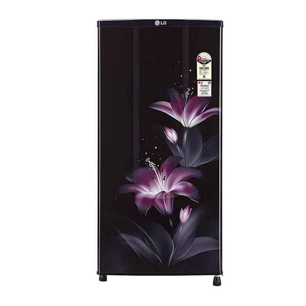 LG 185 L 1 Star Single Door Refrigerator (GL-B181RPGB)