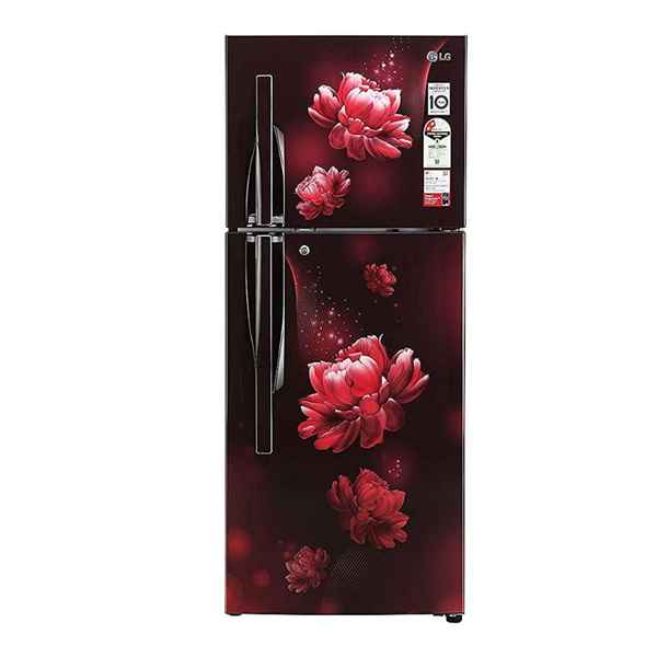 LG 260 L 2 Star Double Door Refrigerator (S292RSCY)