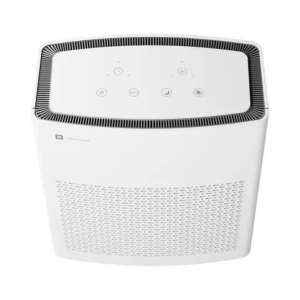 Realme TechLife Rmh2019 Portable Room Air Purifier 