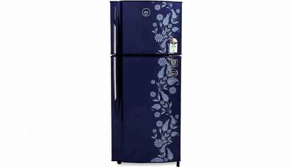 Godrej 255 L Frost Free Double Door Refrigerator