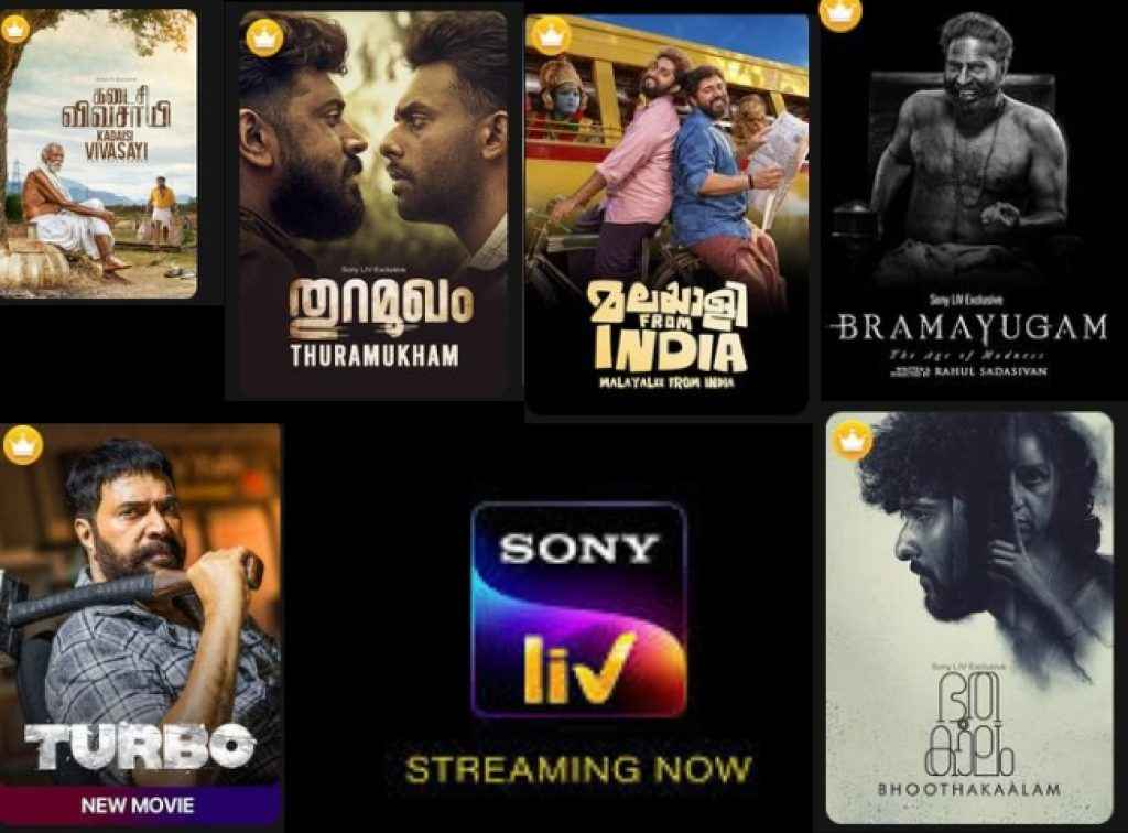 sony liv plans start at 399 rs watch best thrillers and thalavan movie 