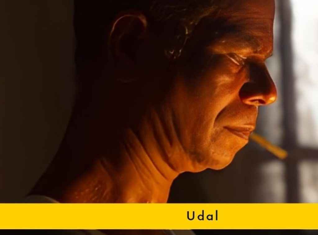 udal ott release update know where to watch