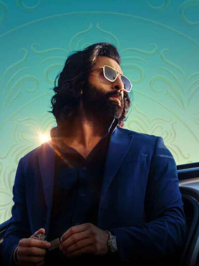 7 movies that are as good as Animal on Netflix