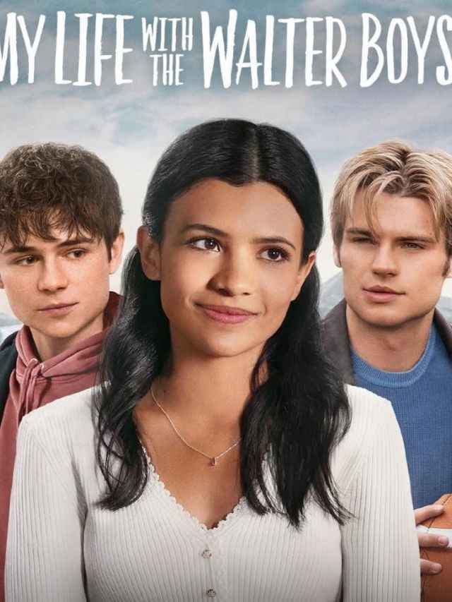 7 series that rival My Life With the Walter Boys