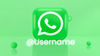 Meta को मिली और 3 दिन की मोहलत, WhatsApp Username Feature पर तेज़ हुआ सरकार का चाबुक!