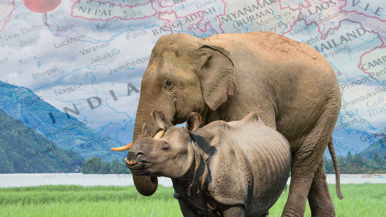 World Environment Day: 5 Tech-Powered Conservation Wins in Assam
