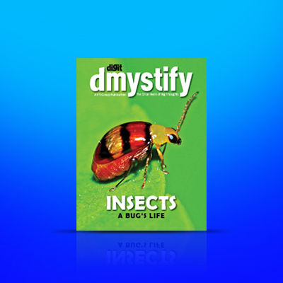 Dmystify_Nov2020_400x400 Digit November 2020 Issue FastTrack dmystify SKOAR!